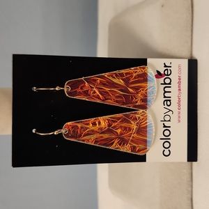 2/$30 NWT Color by Amber earrings